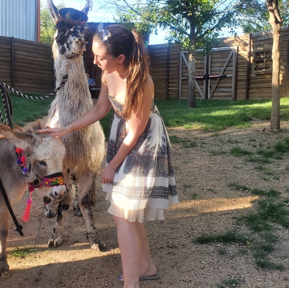 Free People Serenissima Bohemian Dress - Picture 7 of 10